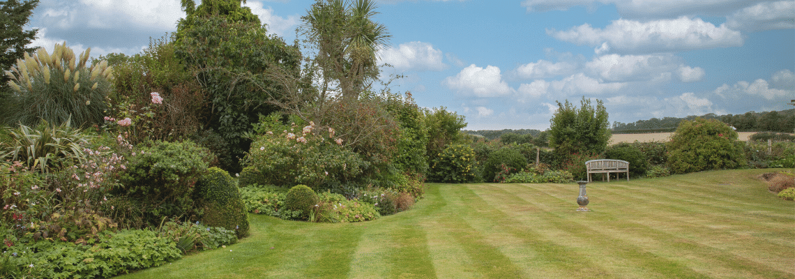 Garden at Country Lodge nursing home