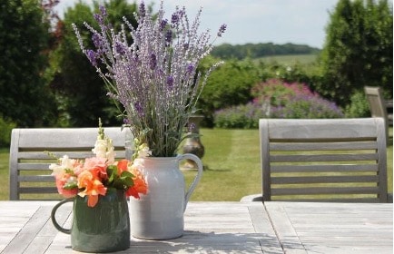 Garden of Country Lodge Nursing home in Worthing